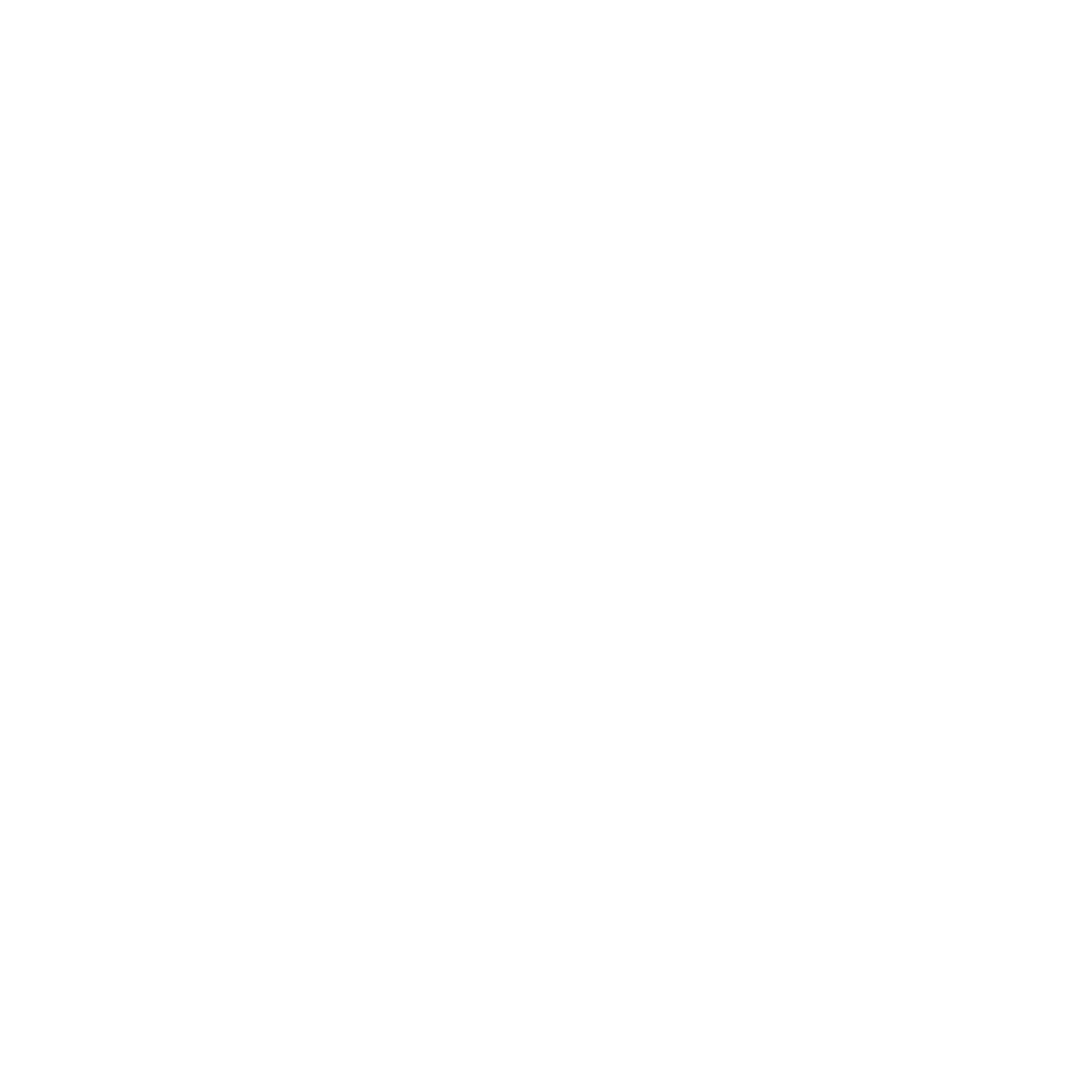 L'Palussa